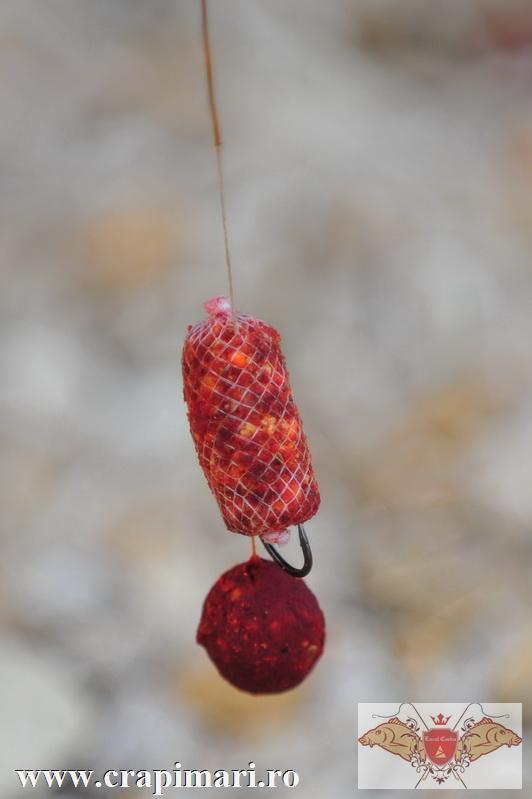 Nice :) - rig1827.jpg